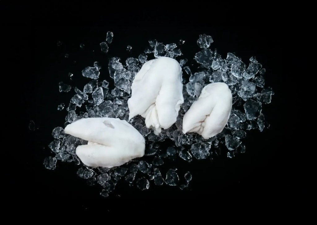 cod tongues on ice