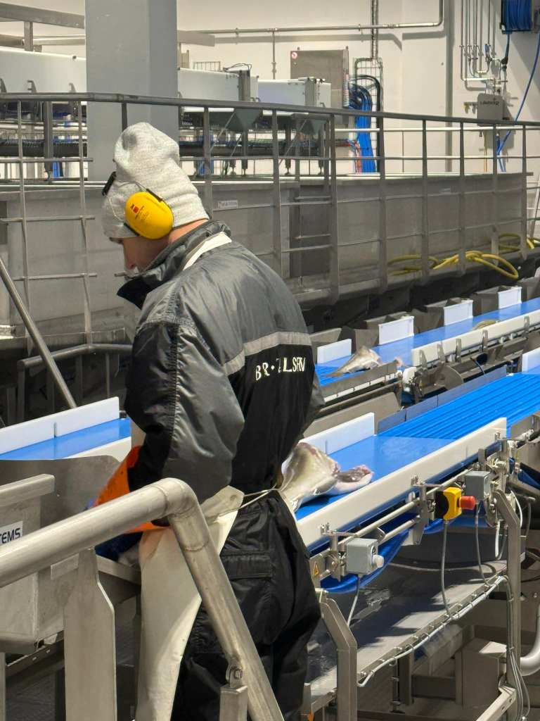 work in the wild fish production