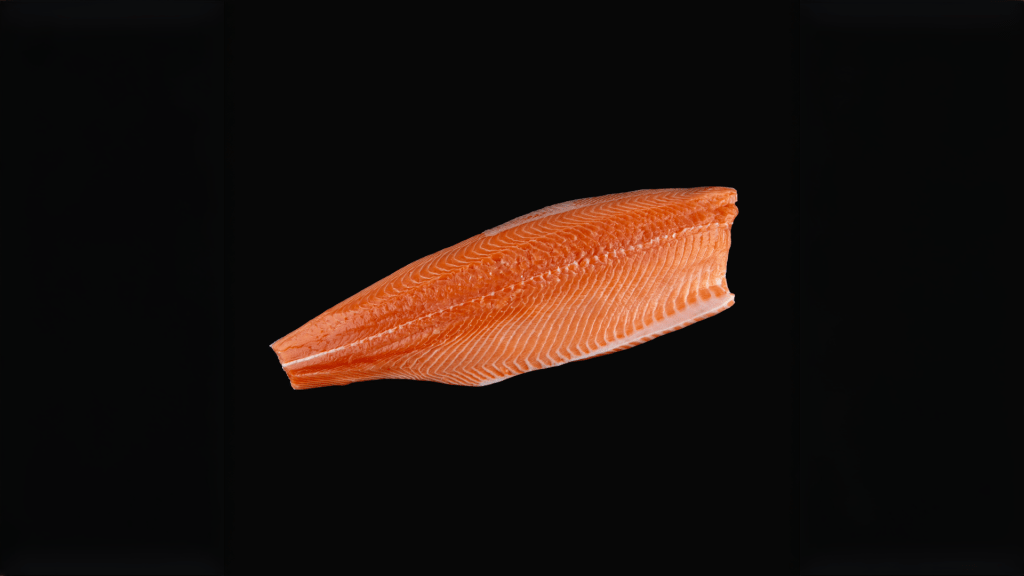 salmon fillet